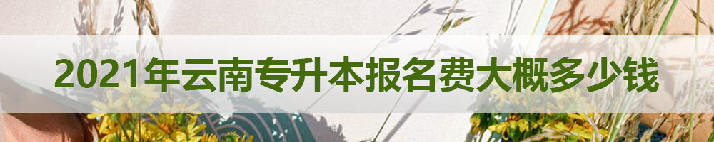 2021年云南專(zhuān)升本報(bào)名費(fèi)大概多少錢(qián)