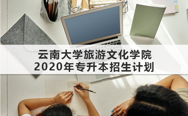 云南大學(xué)旅游文化學(xué)院2020年專升本招生計(jì)劃