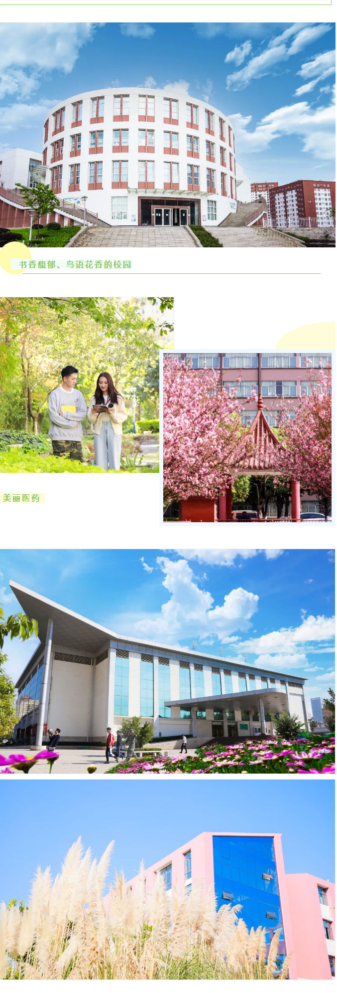 云南醫(yī)藥健康職業(yè)學院2021年招生簡章