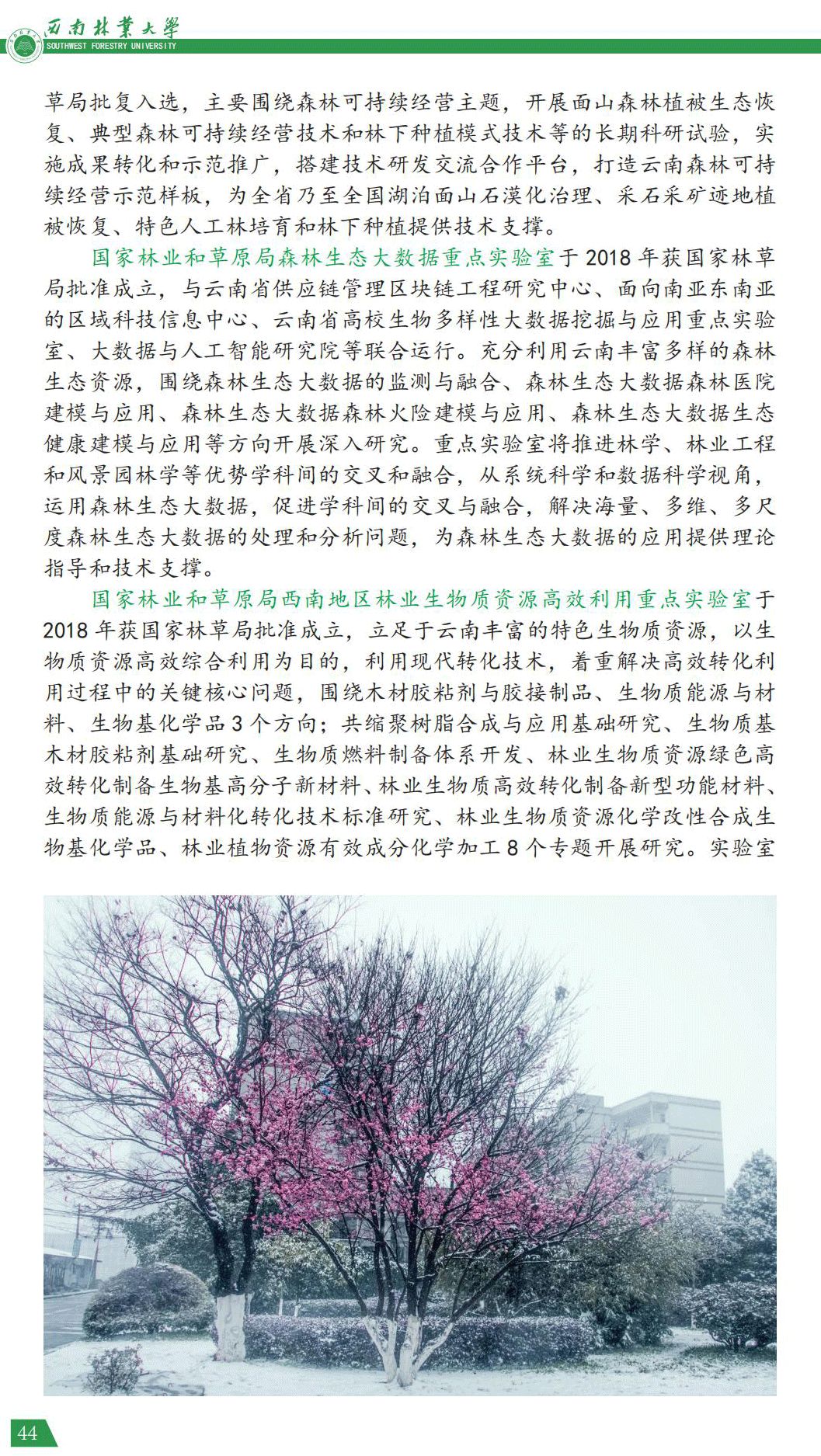 西南林業(yè)大學2021年報考指南