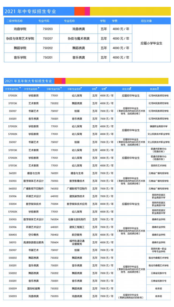 云南文化藝術(shù)職業(yè)學(xué)院2021年招生簡(jiǎn)章