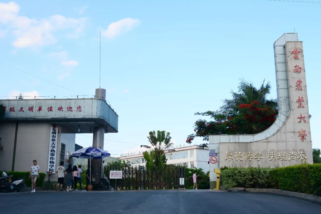 云南專升本
