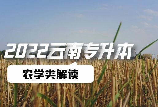 云南專升本