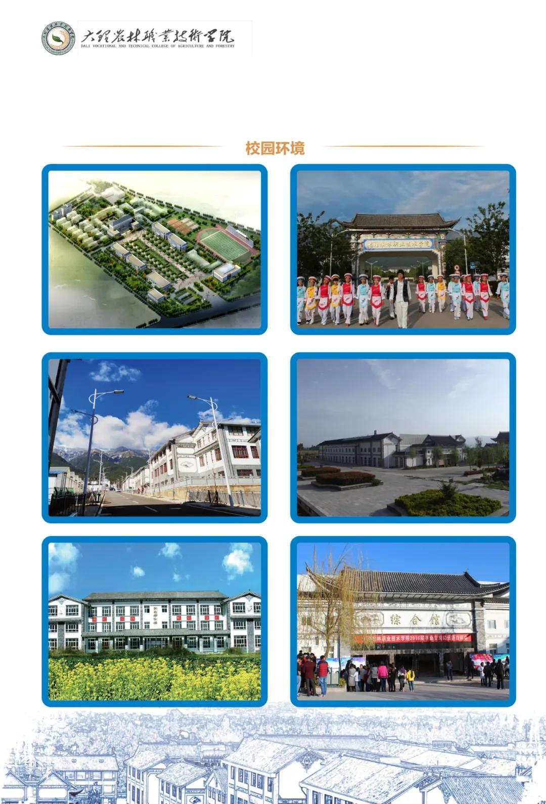 大理農(nóng)林職業(yè)技術(shù)學(xué)院2021年招生簡章