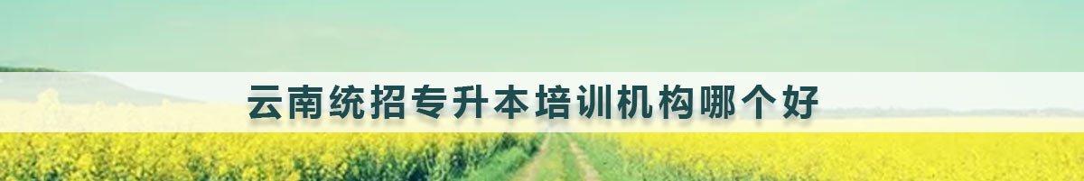 云南統(tǒng)招專升本培訓機構(gòu)哪個好？