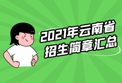招生簡(jiǎn)章