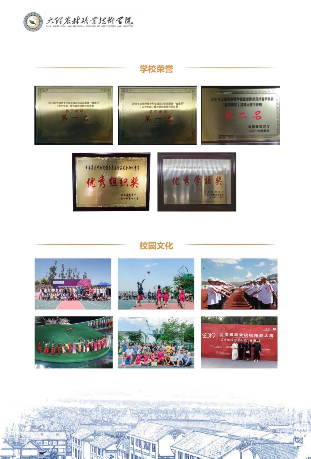 大理農(nóng)林職業(yè)技術(shù)學(xué)院2021年招生簡章