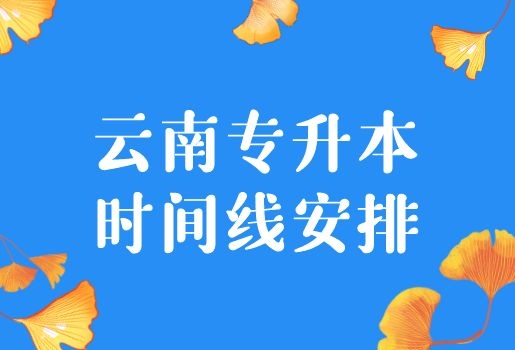 云你專升本