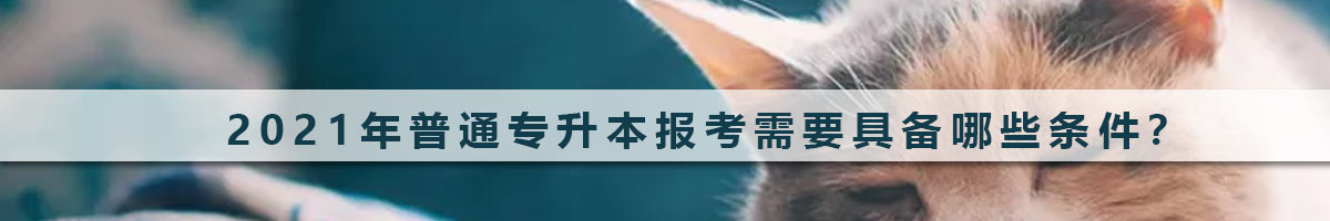 2021年普通專升本報考需要具備哪些條件？