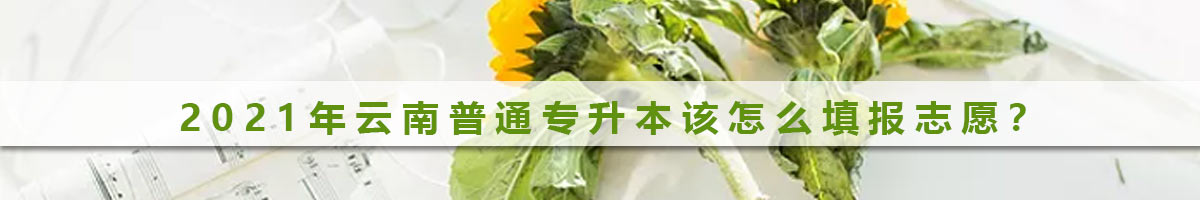 2021年云南普通專升本該怎么填報(bào)志愿？