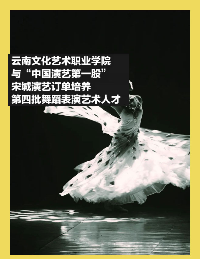 云南文化藝術(shù)職業(yè)學(xué)院2021年招生簡(jiǎn)章