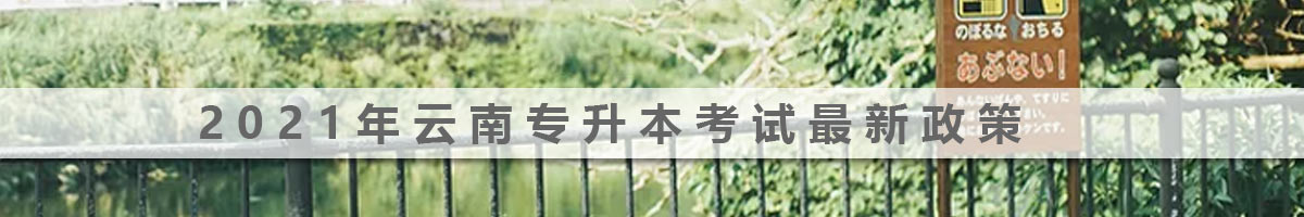 2021年云南專升本考試最新政策