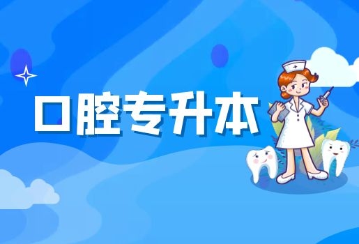 云南專升本