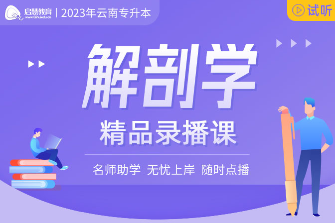 2023年云南專升本精講課《解剖學(xué)》
