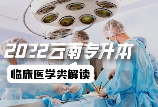 云南專升本
