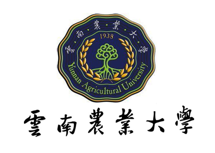云南專升本