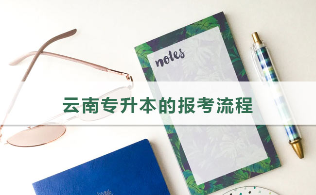 云南專升本的報(bào)考流程